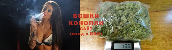 стаф Верхний Тагил