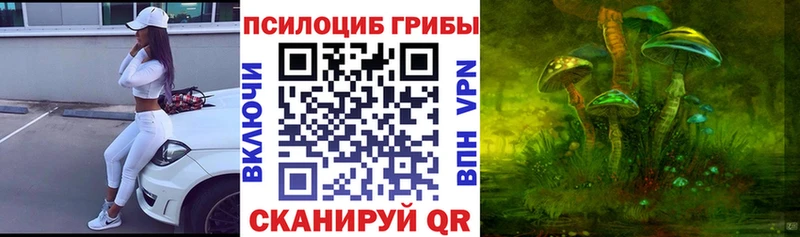 Галлюциногенные грибы Magic Shrooms  Махачкала 